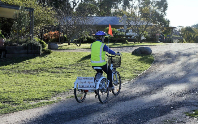 Pelican Point Tasmania