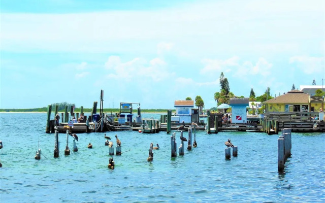 Treasure Island Luxury Intercoastal Home (745)