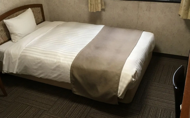 Shinmatsudo Station Hotel