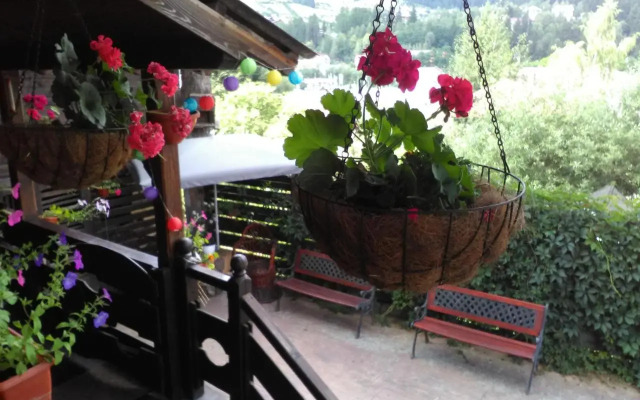 Pension Dariana