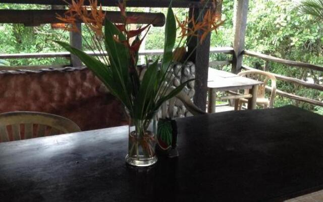 Bambua Nature Cottages