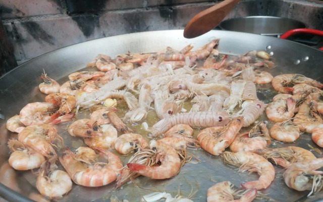 Villa Paquita - Delta de l'Ebre