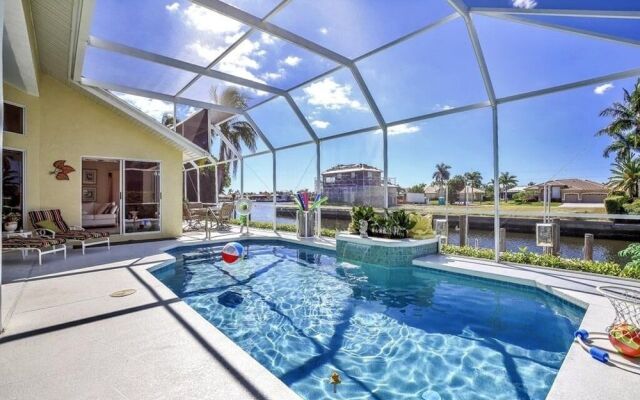 Bald Eagle Home #62266