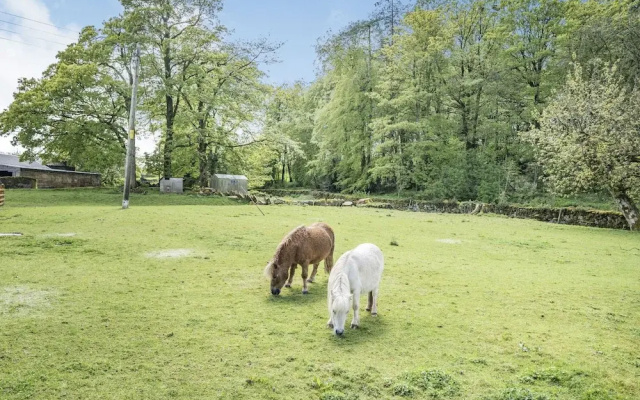 Christine's Stable