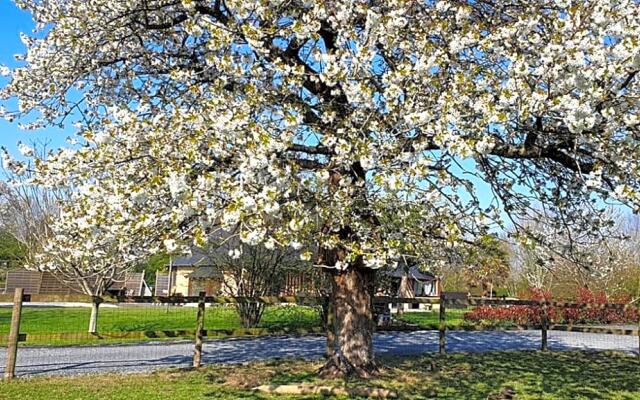 Aux murmures de la nature