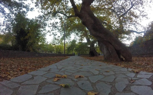 Stephania's Stone House