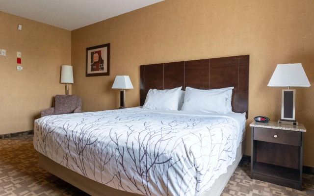 Best Western Plus South Edmonton Inn & Suites