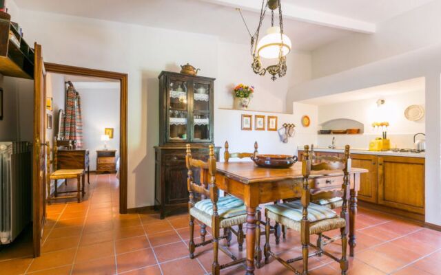 Bardeggiano - Caterina 7 (COL240)