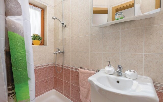 Nice Home in Nedescina With Wifi and 3 Bedrooms