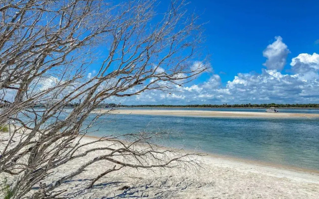 Sand Dollar 306