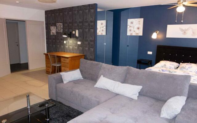 Renovated Apartment in Antwerp