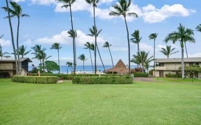 Napili Shores F246 in Lahaina