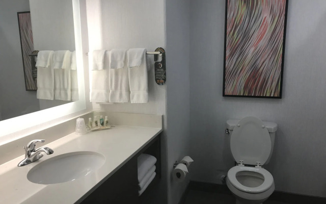 Holiday Inn Abilene - North College Area by IHG