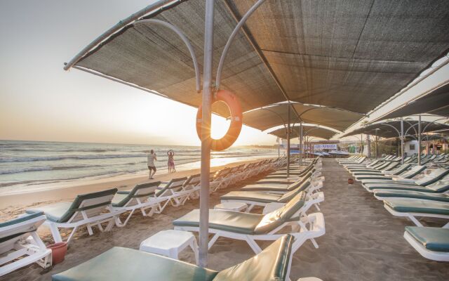 Trendy Palm Beach (Adults Only, 16+)