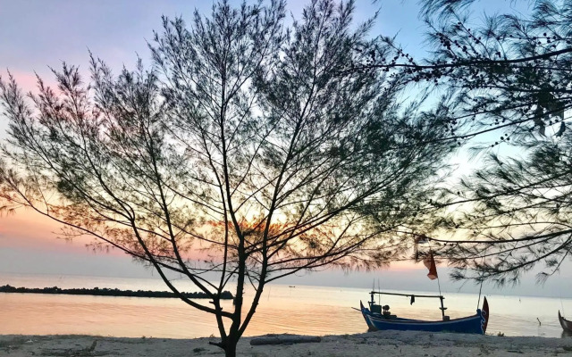 Seabirds Bed and Breakfast