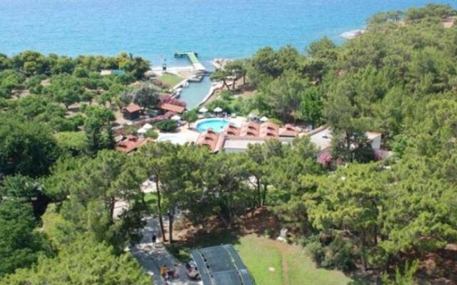 Pinepark Holiday Club