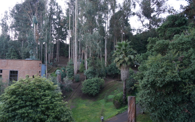 Hotel Bosque de Reñaca