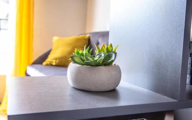 ROOSEVELT #7 - Studio coquet - 1 chambre