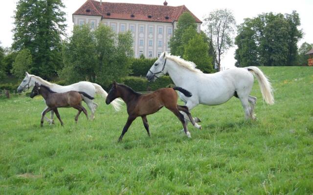 Ferienwohnungen Perhofer