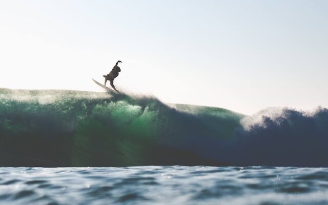 The Yogi Surfer