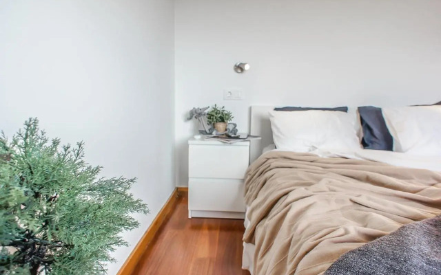 Trendy Apartments
