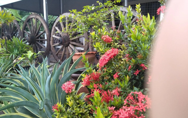 Ban Khun Rin Homestay