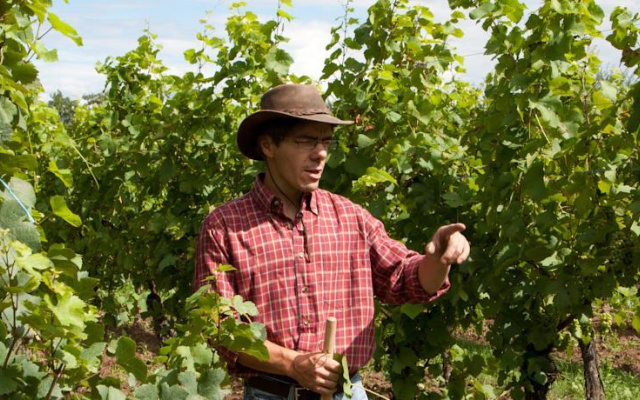 Gîtes Le Tokay et Le Muscat