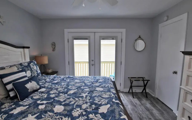 Sand Dollar by Youngs Suncoast