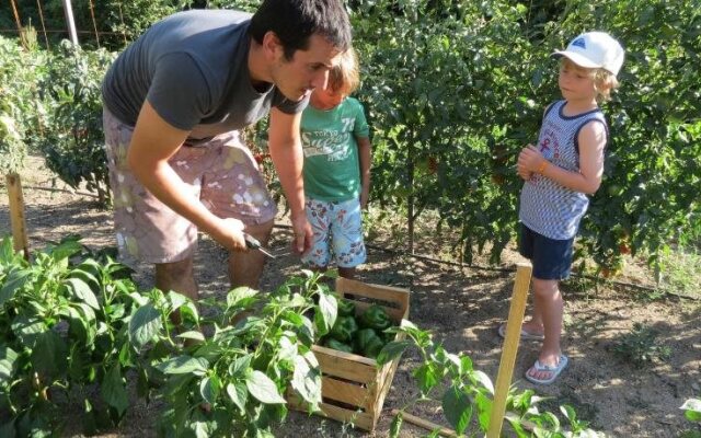 Auberge - Hotel U Paradisu