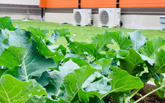 TanTei / Vacation STAY 5504