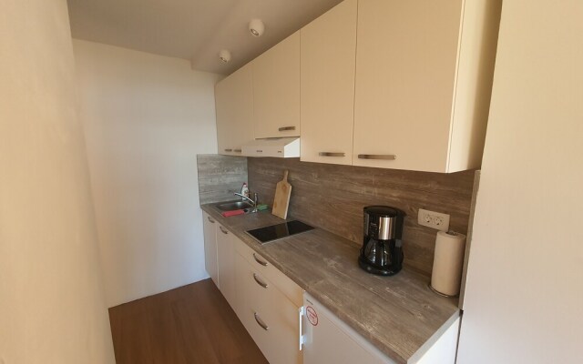 Family Apartment Kocevar