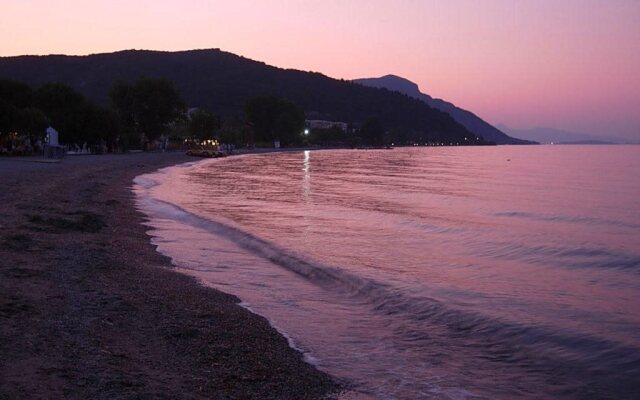 Telis Pension