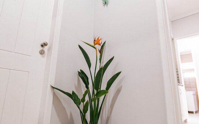 Maré Alta Alojamentos