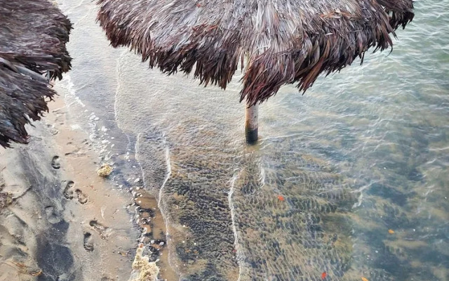 Room 7 Sicily Premium