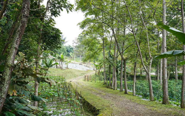 OYO Homes 91002 Eco Tourism Desa Cibodas Areng 3 Syariah