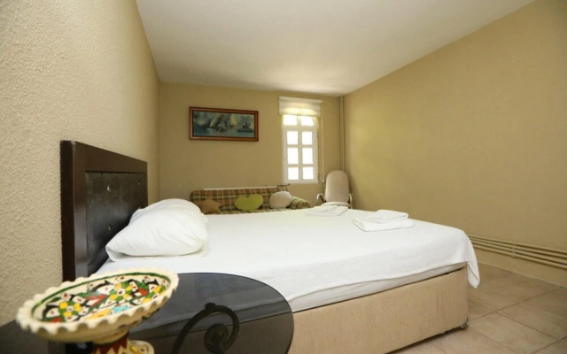 Serene House Surrounded by Nature in Beykoz