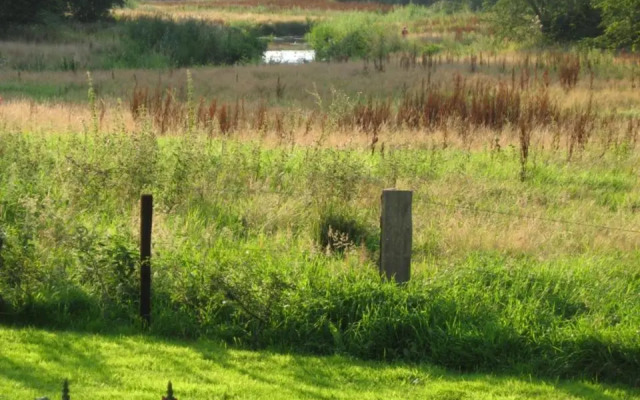 Natuurlogies Buurse Buiten