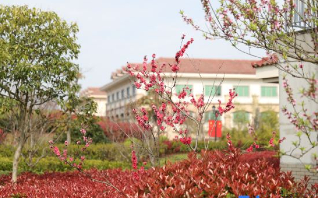 Guli Hotel