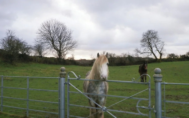 Ynys Uchaf