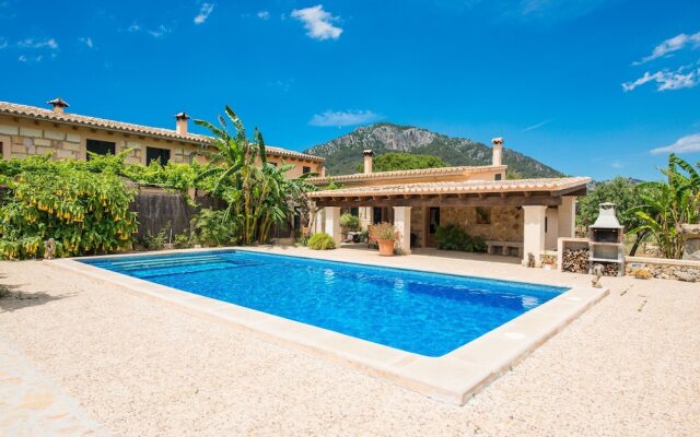 SA Parellada - Premium