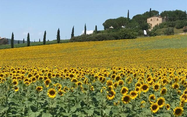 Il vecchio seccatoio