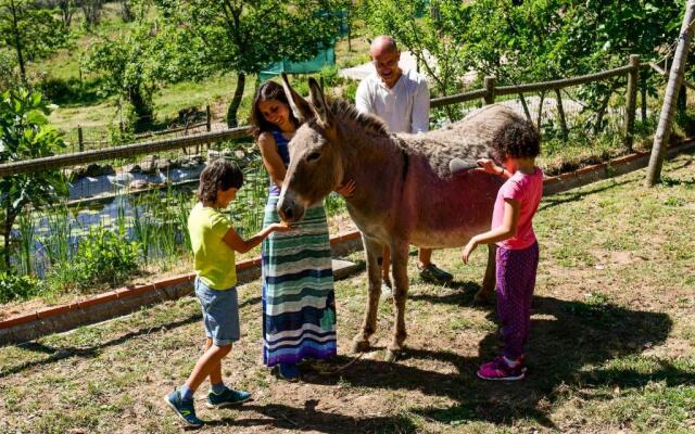 Vale do Ninho Nature Houses