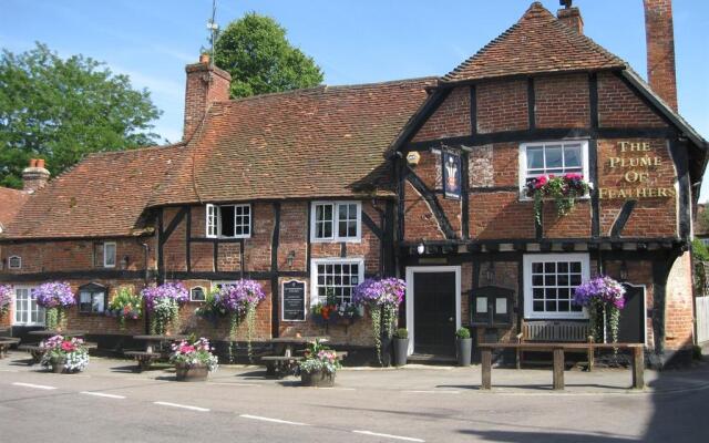 The Plume of Feathers