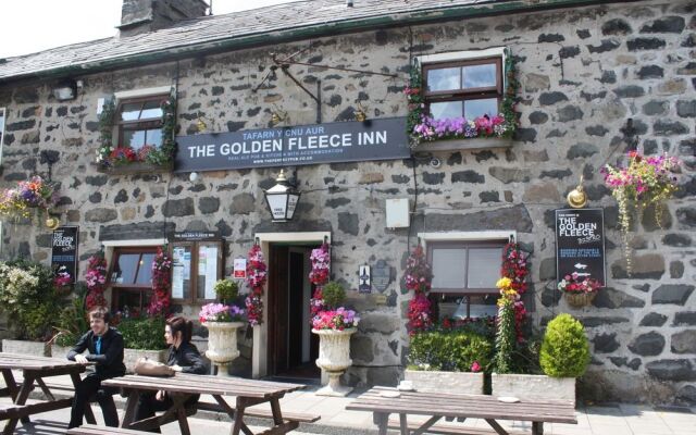 Golden Fleece Inn Tremadog