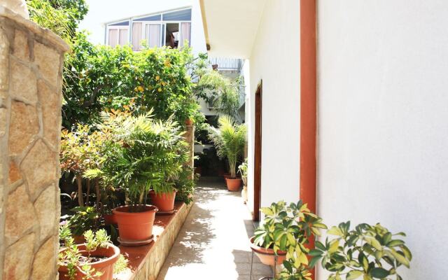 I tre Golfi Tartarughe