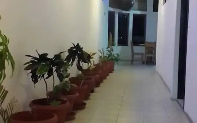 La Mirada De Solitario George