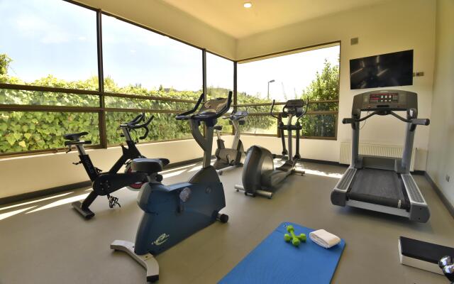 Holiday Inn Express Temuco by IHG