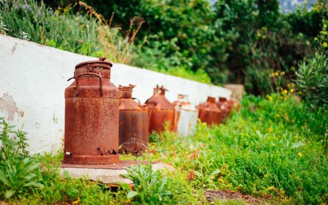 Agriturismo Camisadu