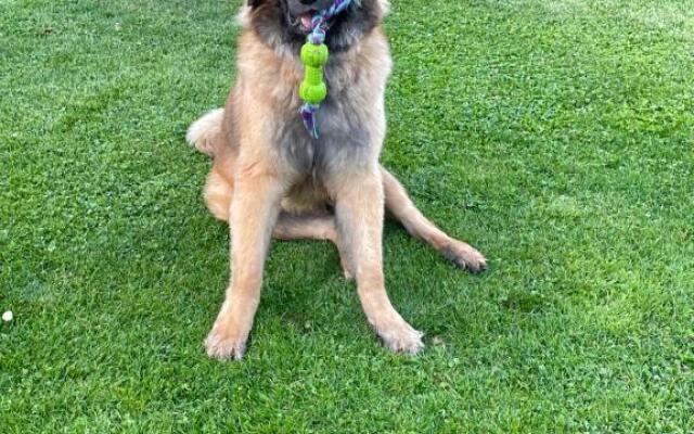 Domaine du Clos Pallacien