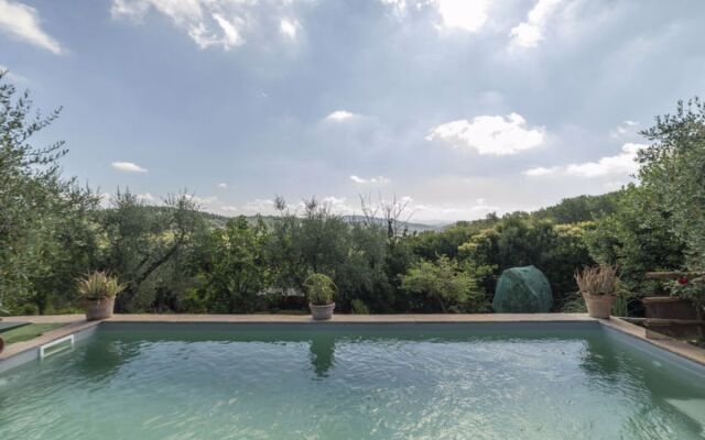 House Olivo Castellina in Chianti